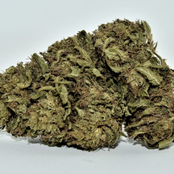 Fleurs de CBD KDC Organic Green Mango OUTDOOR