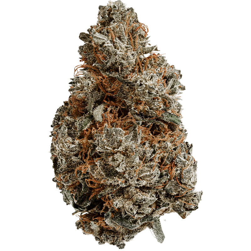 Fleurs de CBD Blackberry INDOOR